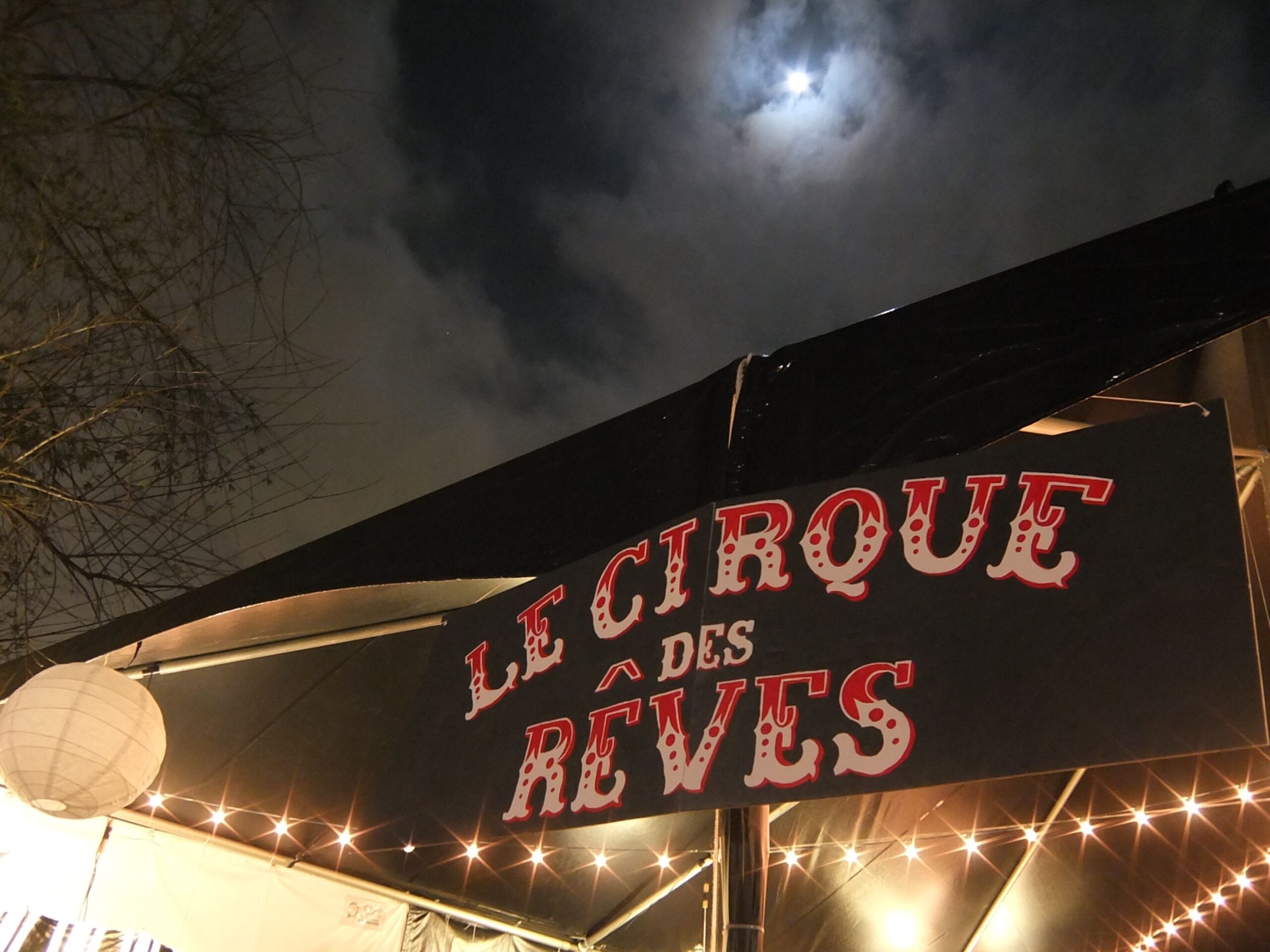 The Night Circus by Erin Morgenstern