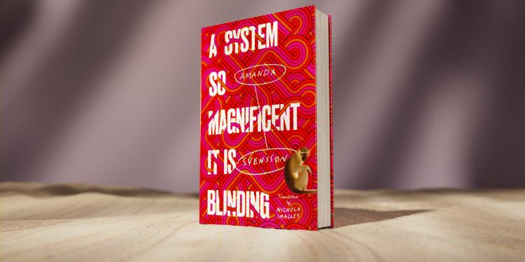 A System So Magnificent It Is Blinding by Amanda Svensson