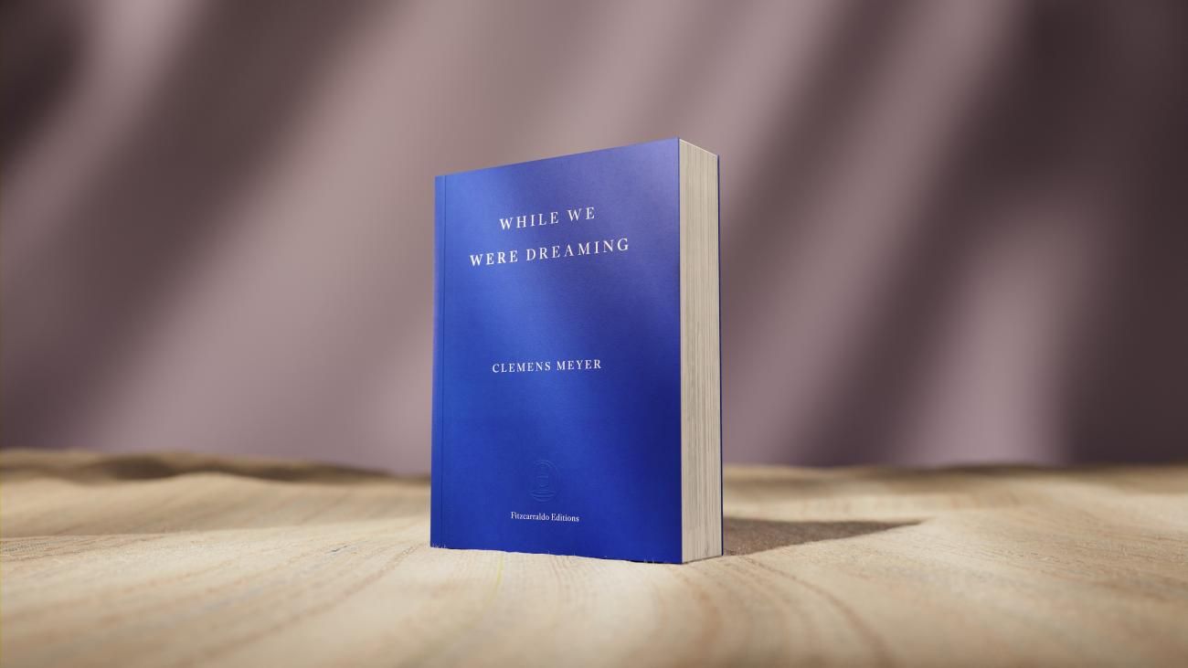 While We Were Dreaming by Clemens Meyer