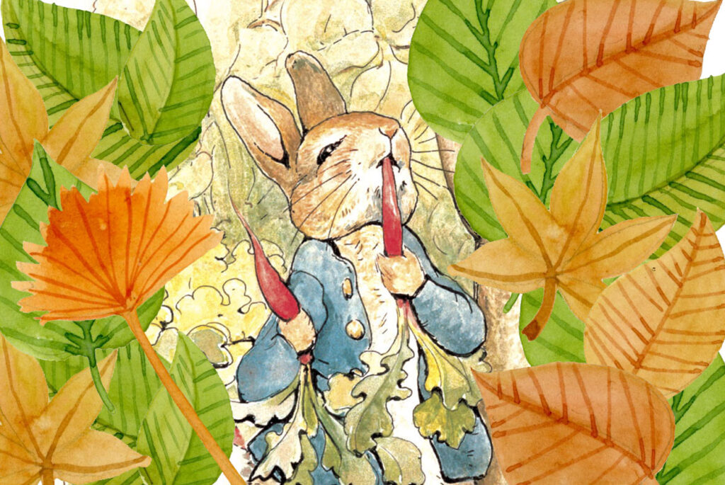 Children's Book - The Tale of Peter Rabbit